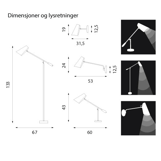 Birdy - Gulvlampe - Sort / Sort