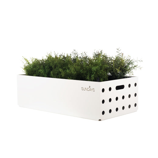 Sundays Frame - Plantekasse - Lav