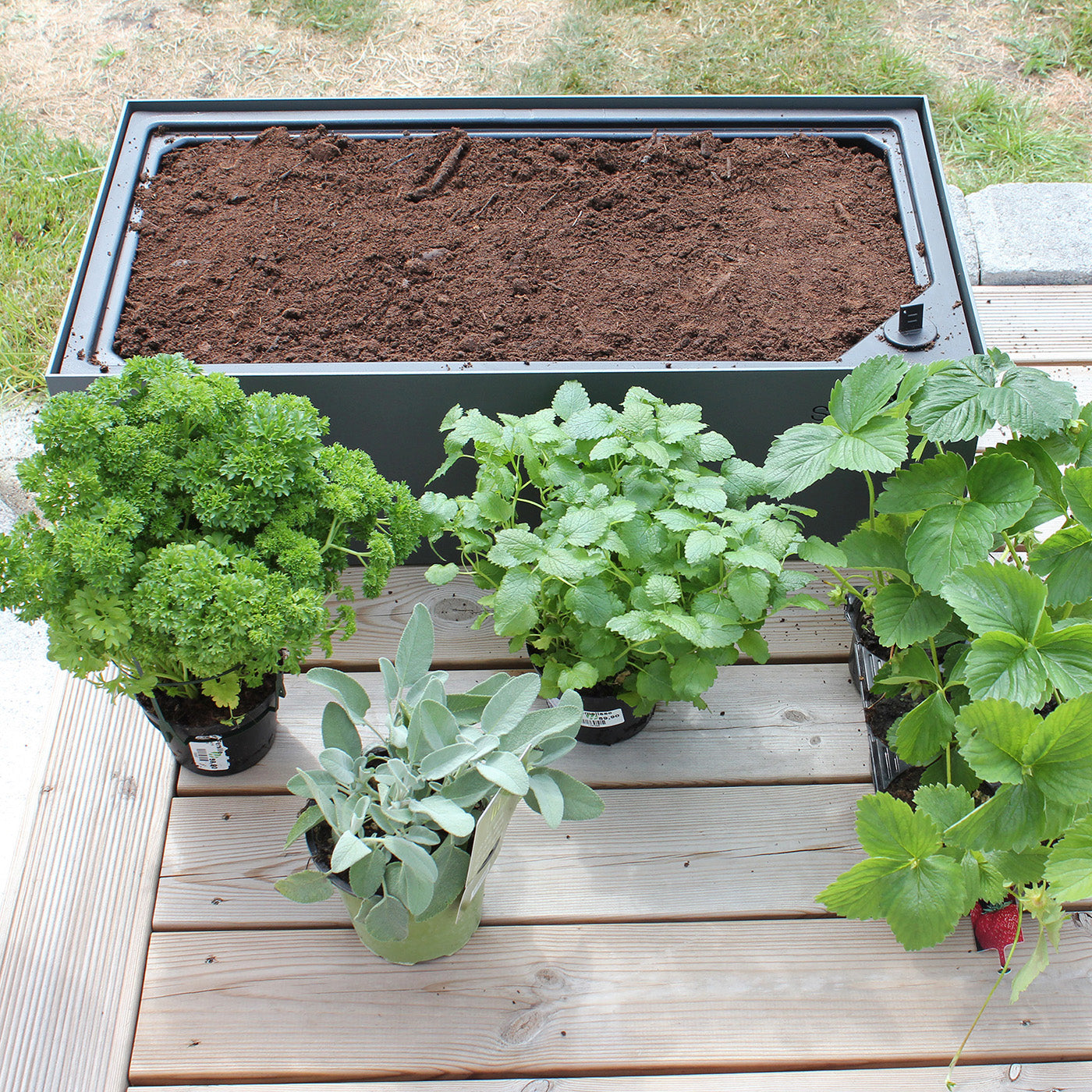 Sundays Frame - Plantekasse - Lav