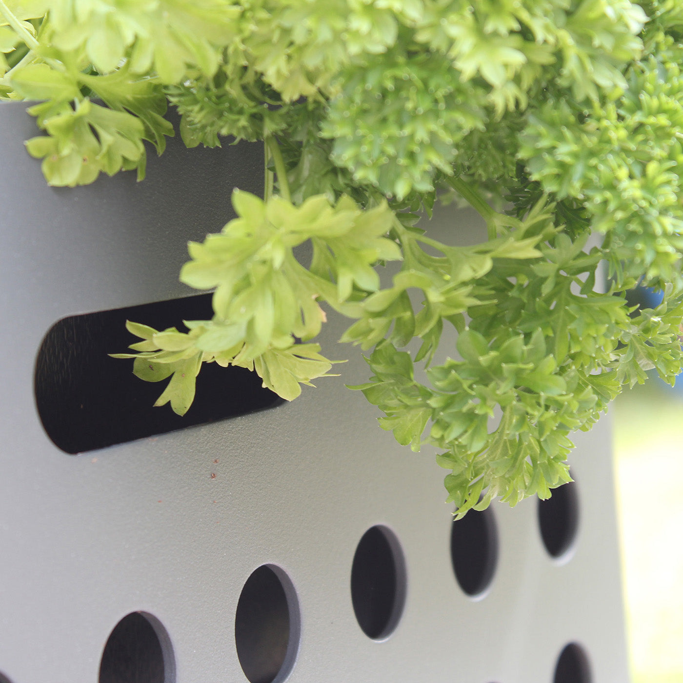 Sundays Frame - Plantekasse - Lav
