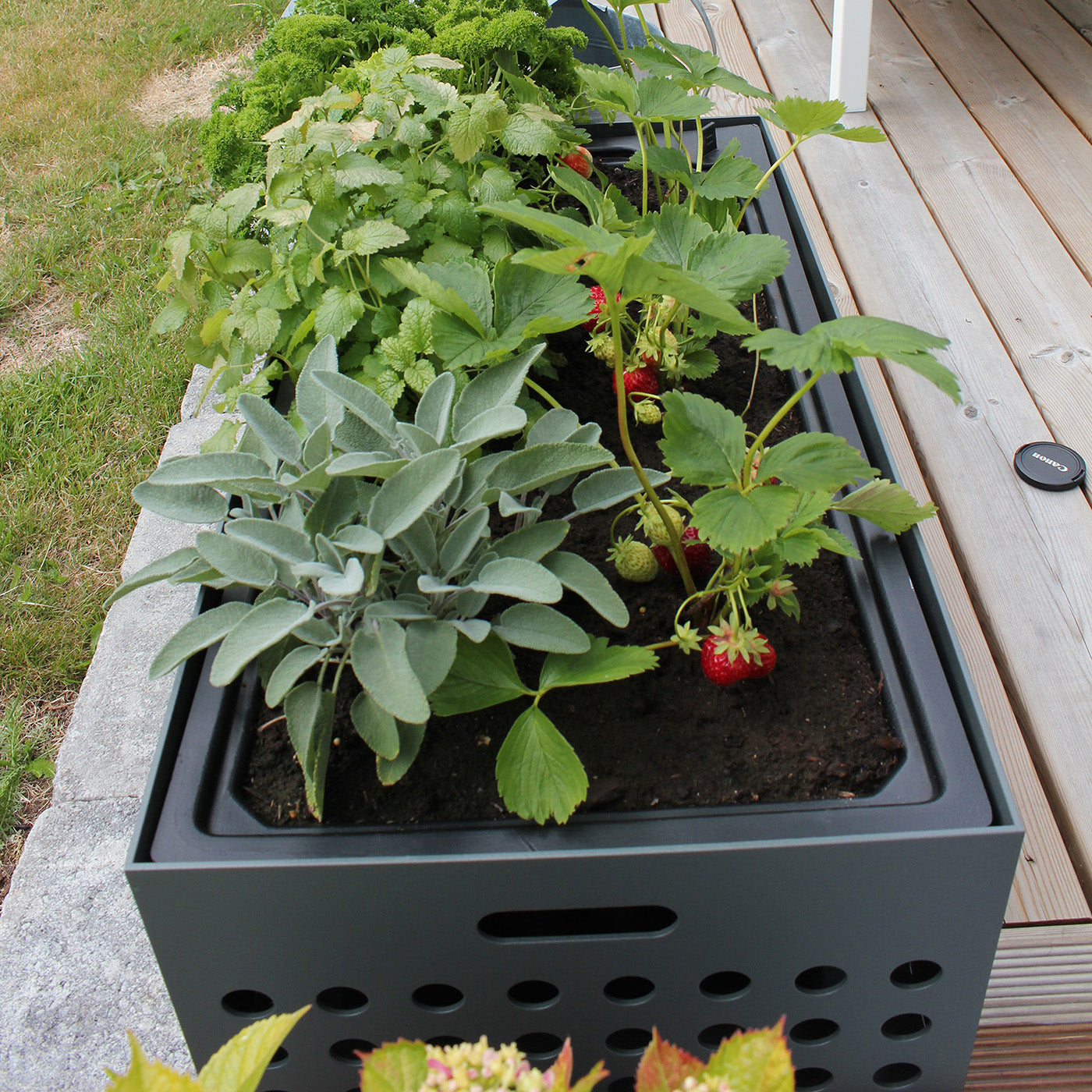 Sundays Frame - Plantekasse - Lav