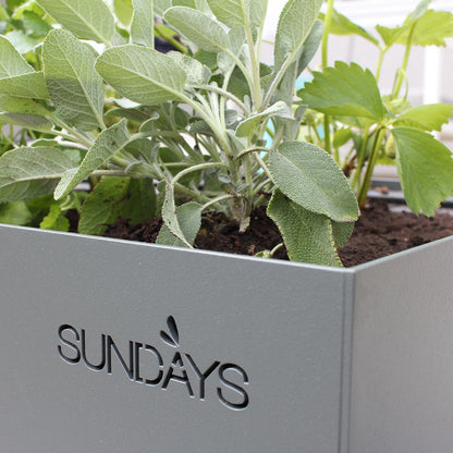 Sundays Frame - Plantekasse - Lav