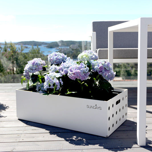 Sundays Frame - Plantekasse - Lav